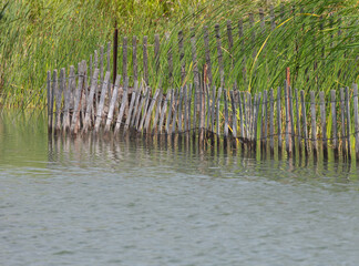Fence in the wetland. Concept of environmental protection.