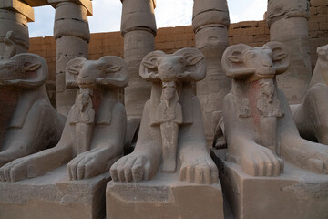 Karnak temple sphinxes alley -  architecture of ancient Egypt with ram-headed and pharaoh statues, Luxor