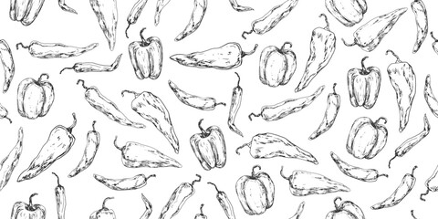 Seamless pattern with hot peppers sketches. Background with paprika illustration. Hand drawn pepper and chilli on white background. Black and white vegetables. Drawing with hatching paprika.