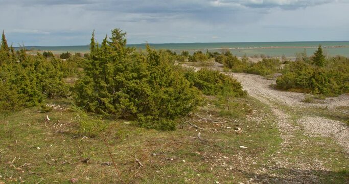 Immerse yourself in Estonia's scenic wonder: Kassari Landscape Protection area on Hiiumaa Island. Discover diverse beauty and untouched landscapes.