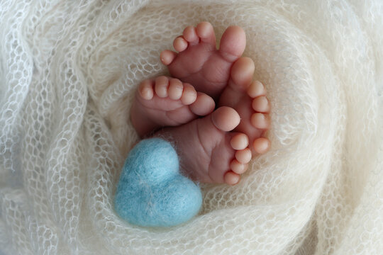 Legs, toes, feet and heels of newborn twins. Wrapped in a white knitted blanket. Studio Macro photography, close-up. Knitted blue hearts in the legs of twins. Two newborn babies.