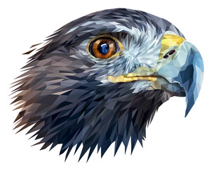 Golden eagle head isolated on transparent background. Low poly graphics. Illustration. PNG