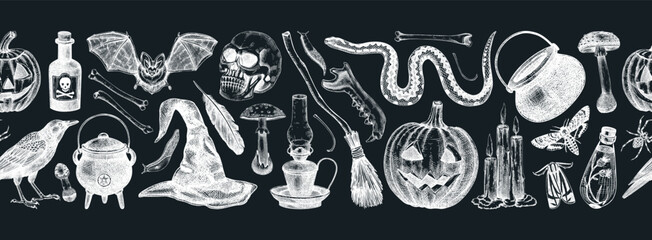 Halloween vector border. Skull, bones, pumpkin, poisonous mushrooms, snakes, raven sketches. Hand drawn witchcraft background. Seamless pattern for magic design, decoration, print