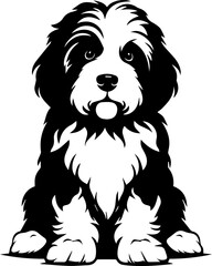 Bernedoodle flat icon