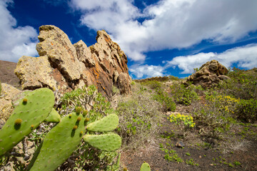 Krajobraz górski, urlop i wypoczynek na wyspie kanaryjskiej, Lanzarote, Hiszpania