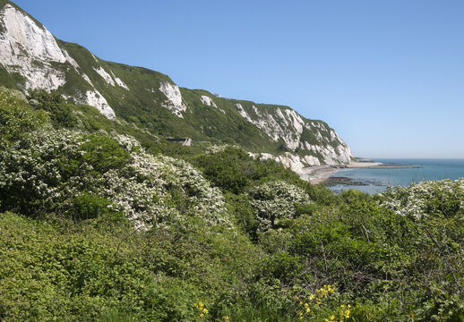 The White Cliffs from Little Switzerland, Folkestone