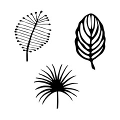 set of silhouettes of leaves
