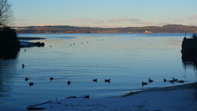 Cramond Beach, Edinburgh - ducks during winter sunset 