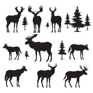 Moose silhouettes and icons. black flat color simple elegant Moose animal vector and illustration.	
