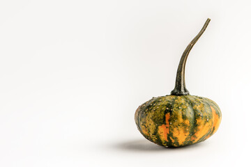 Decorative pumpkin for the Halloween holiday on a white background. A pumpkin casts a shadow....