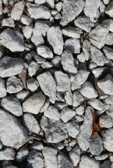 Background of white stones on the ground