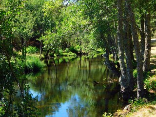 Fototapeta na wymiar Fontirín river in the Carballeda region in Zamora province