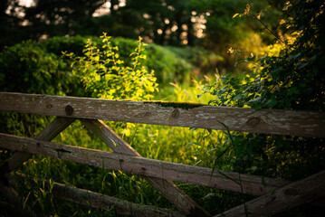 Gate in a wooden fence on a foothpath toward forest close to Brighton, East Sussex, UK