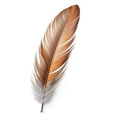 bird feather isolated on white generative AI
