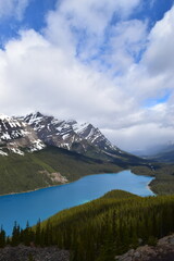 Peyto Lake in Banff National Park