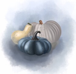 Pumpkin autumn harvest illustration digital