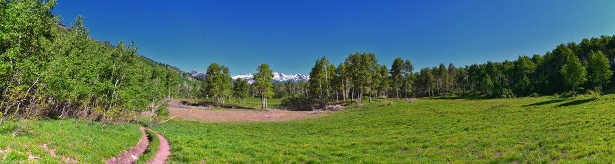 Timpanogos back Primrose overlook Horse Spring hiking trail views Wasatch Rocky Mountains, Utah. United States.