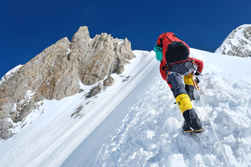 Naklejka na ściany i meble Climber reaches the summit of Everest. National Park, Nepal.