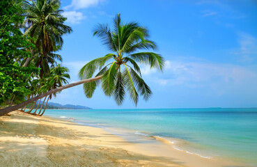Empty paradise beach, blue sea waves in island. Beautiful tropical island. Holiday and vacation concept. - 631620171