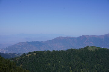 Forestry in the Pir Panjal region of Kashmir - mountainscape in Kashmir - Himalayan cedar and pine forest on a large scale