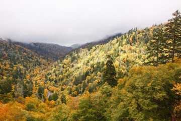 Great Smoky Mountains National Park Scenic Sunrise Landscape at Oconaluftee 