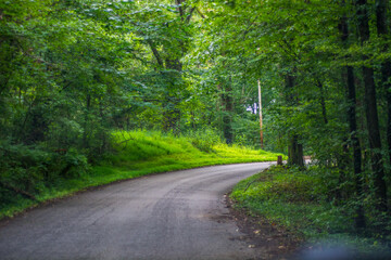 road in the woods in Rock Island State Park