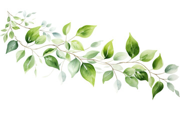 Watercolor vine isolated white background with green leaves. Generative AI.