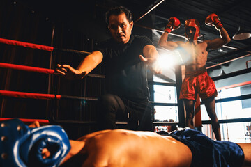 Boxing referee intervene, halting the fight to check fallen competitor after knock out. Referee...