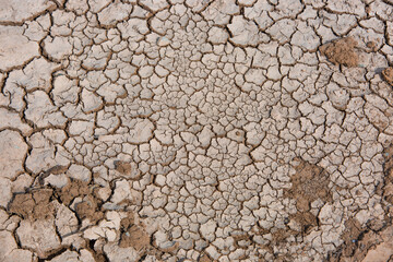 Photo of Cracked Earth during a drought