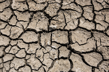 Photo of Cracked Earth during a drought