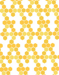 Honeycomb and Honeybee vector illustration