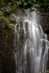 waterfall in the forest