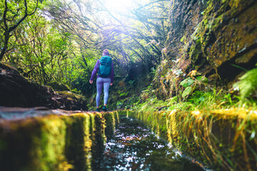Fototapeta premium Low angle shot of athletic tourist walking along a green tree overgrown water canal on a sunny day. 25 Fontes waterfalls, Madeira Island, Portugal, Europe.