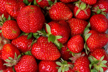 A bunch of fresh strawberries