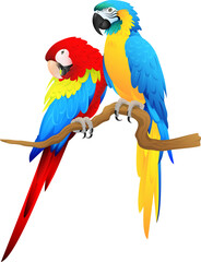 Amazon Parrot Pair On Branch