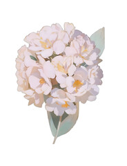 baby blue flower bouquet isolated on transparent png, generative ai