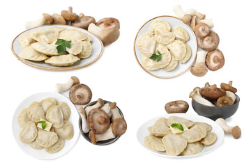 Set of tasty dumplings (varenyky) and mushrooms on white background, top and side views