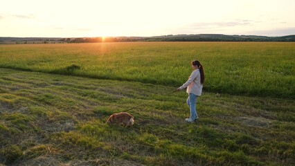 Pet owner pulls leash walking cocker spaniel dog in green rural field at sunset