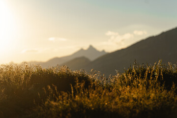 Mountain sunset blurred wallpaper. Defocus abstract background of the sunrise natural landscape. Alpine meadow in the foreground