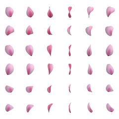 桜の花びら 1枚　セット