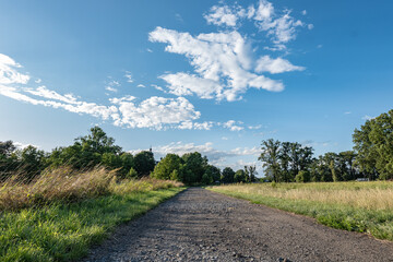 Panorama polnej ścieżki w krajobrazie wiejskim w porze letniej, pola kwitnące plony i drzewa w oddali na tle błękitnego nieba z niemalże bezchmurną pogodą