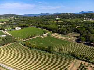 Fototapeta na wymiar View on hills, houses and green vineyards Cotes de Provence, production of rose wine near Saint-Tropez and Pampelonne beach, Var, France