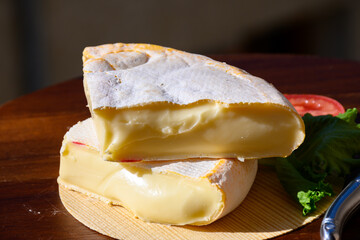 Cheese collection, French reblochon de savoie gratin cow milk cheese close up