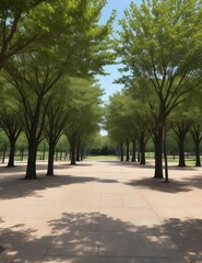 Fototapeta premium alley in the park