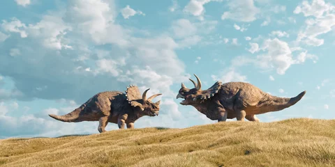 Door stickers Dinosaurs Triceratops in nature