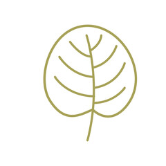 Autumn Leaf Vector