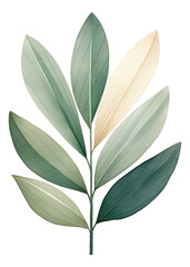 Obraz premium Hand drawn watercolor green Leaves isolated. Minimal cartoon style illustration.