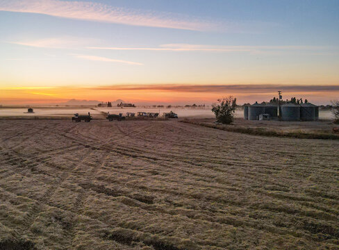 Rice Harvest in Sacramento Valley, California 