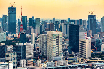 Aerial view of Odaiba Harbor in Minato City, Tokyo, Japan