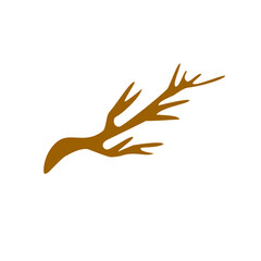 Obraz premium dry tree branch